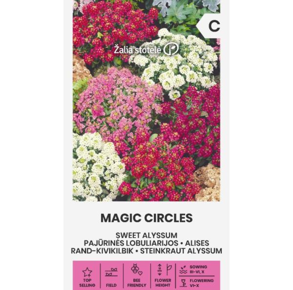 Strandkrassing, alyssum